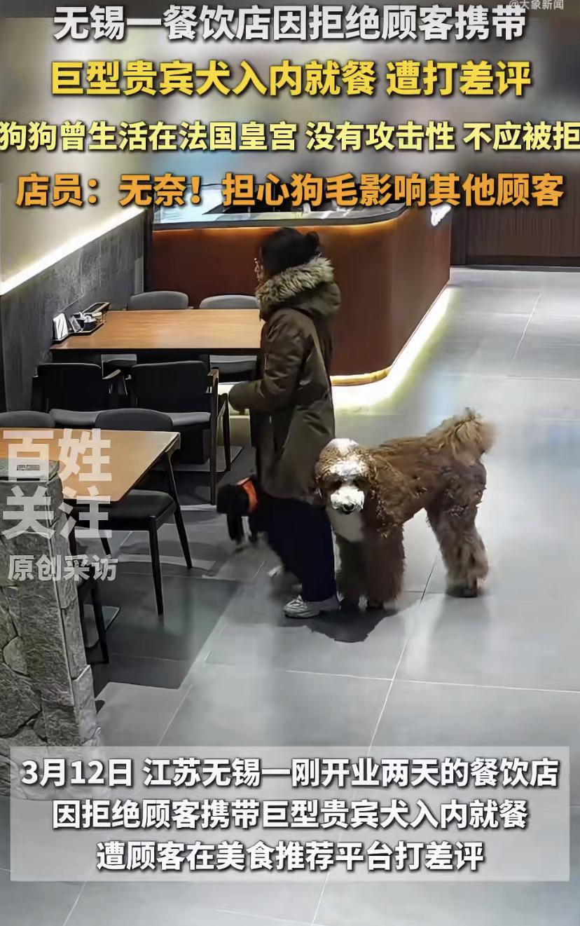 江苏无锡一家新开的餐馆，最近碰上件糟心事。
3月12号，一位女士牵着两只狗来吃饭