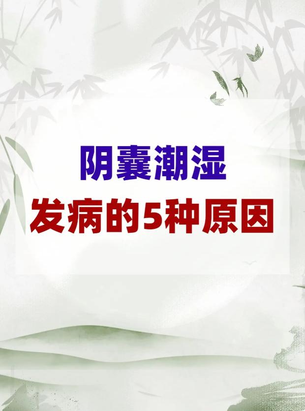 阴囊潮湿发病的5种原因！