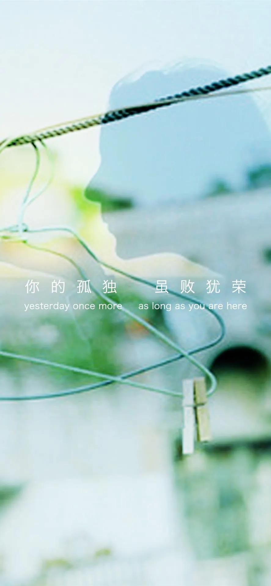 独对孤灯影，夜漫长， 月色凄清，寒风裂窗。 落叶纷飞，诉尽离殇， 忆往昔，繁华如