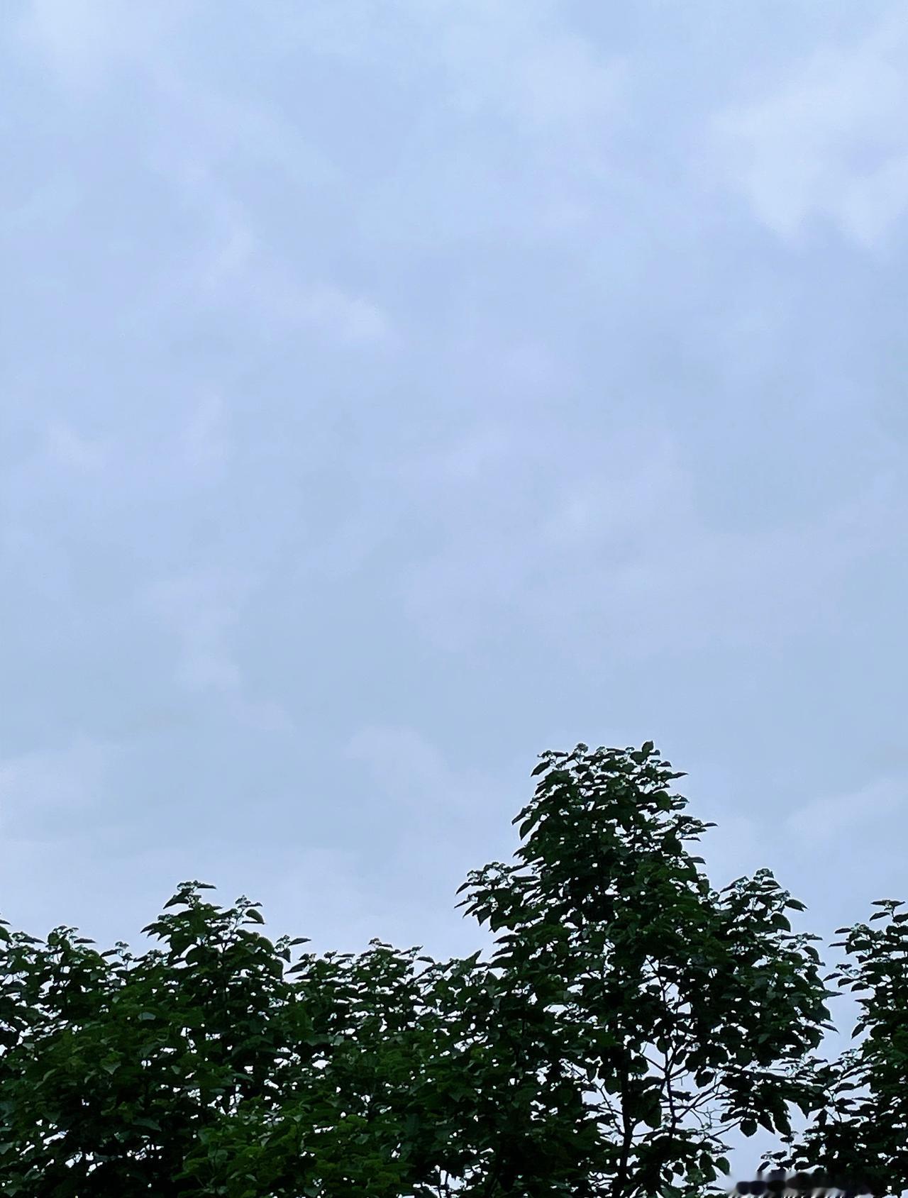 今天多云转阴 18/27度 （实时：多云 25.1度 北风1级 湿度47% 空气