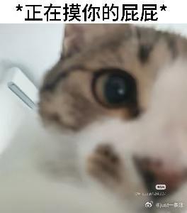 喜欢画玉森（的neinei） ​​​