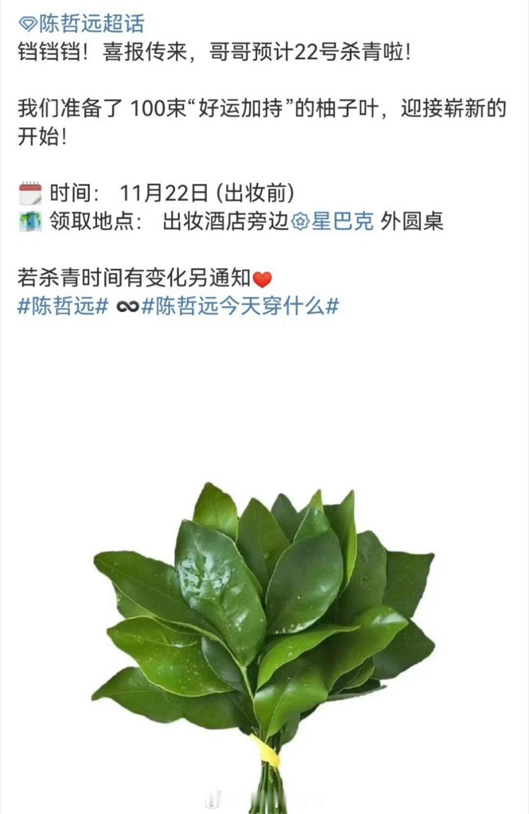 陈哲远粉丝给《江山为聘》杀青准备的应援物是100把柚子叶，太有内味了