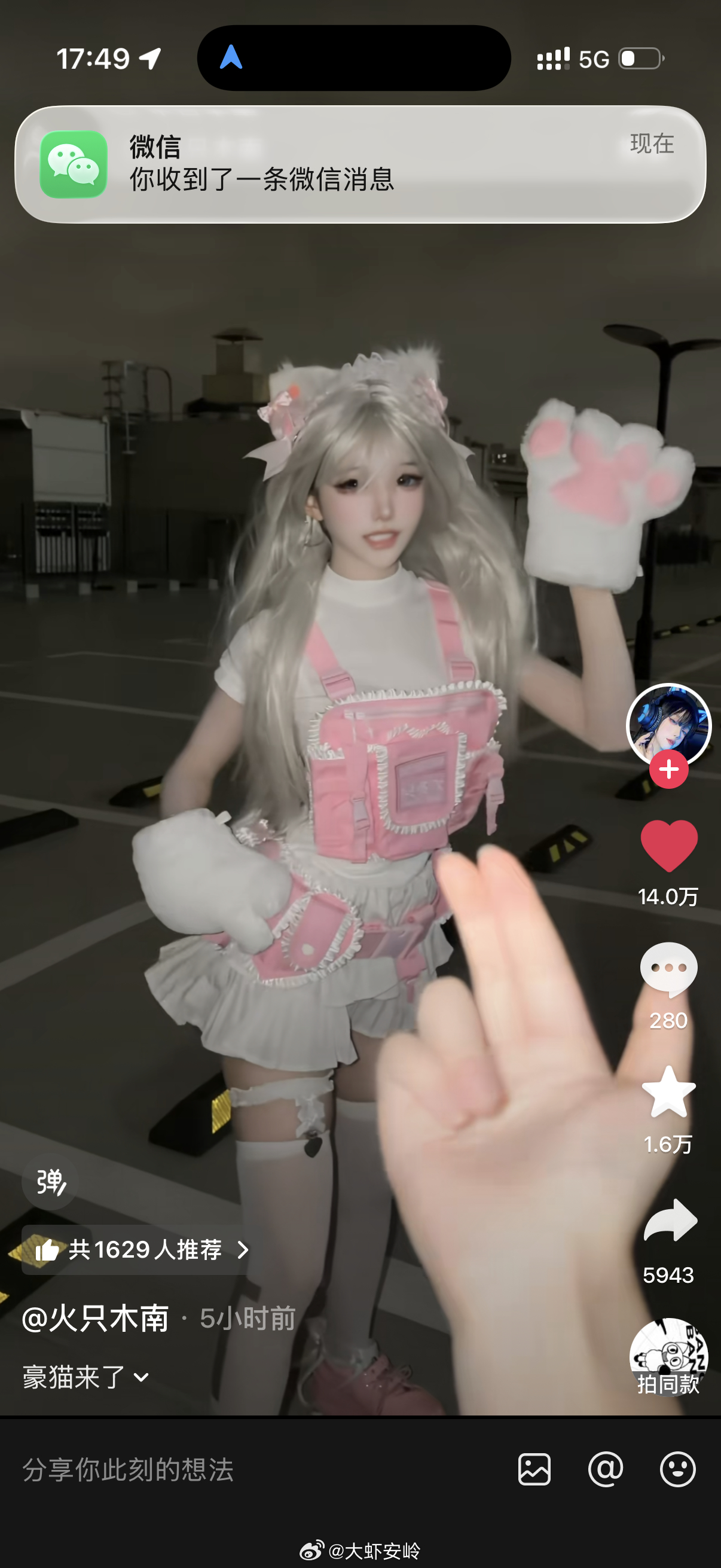 猫猫战术娘又萌我一大跳