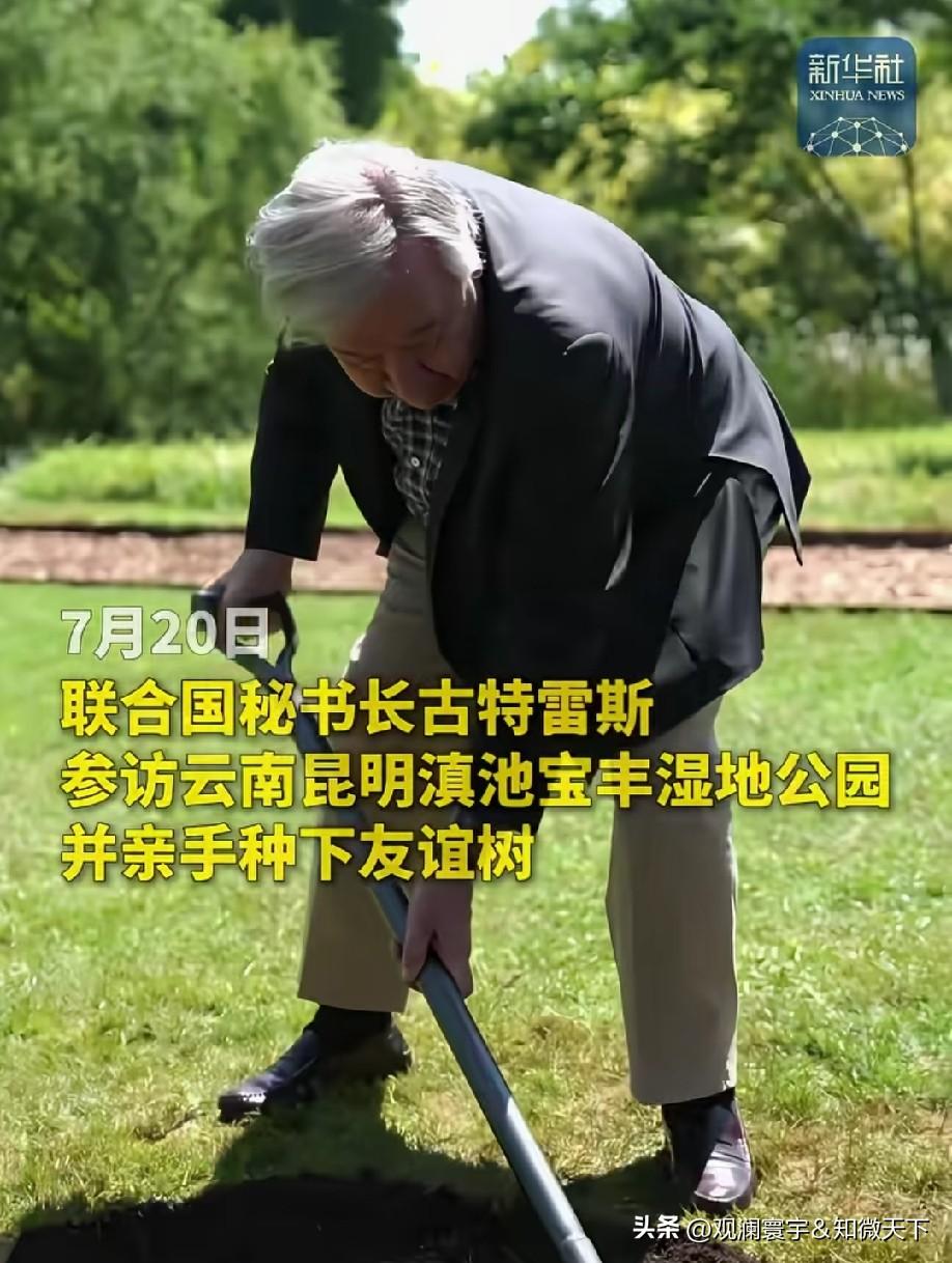 联合国秘书长古特雷斯亲手栽种象征友谊的友谊树，高度称赞滇池生态保护成效。这棵树木