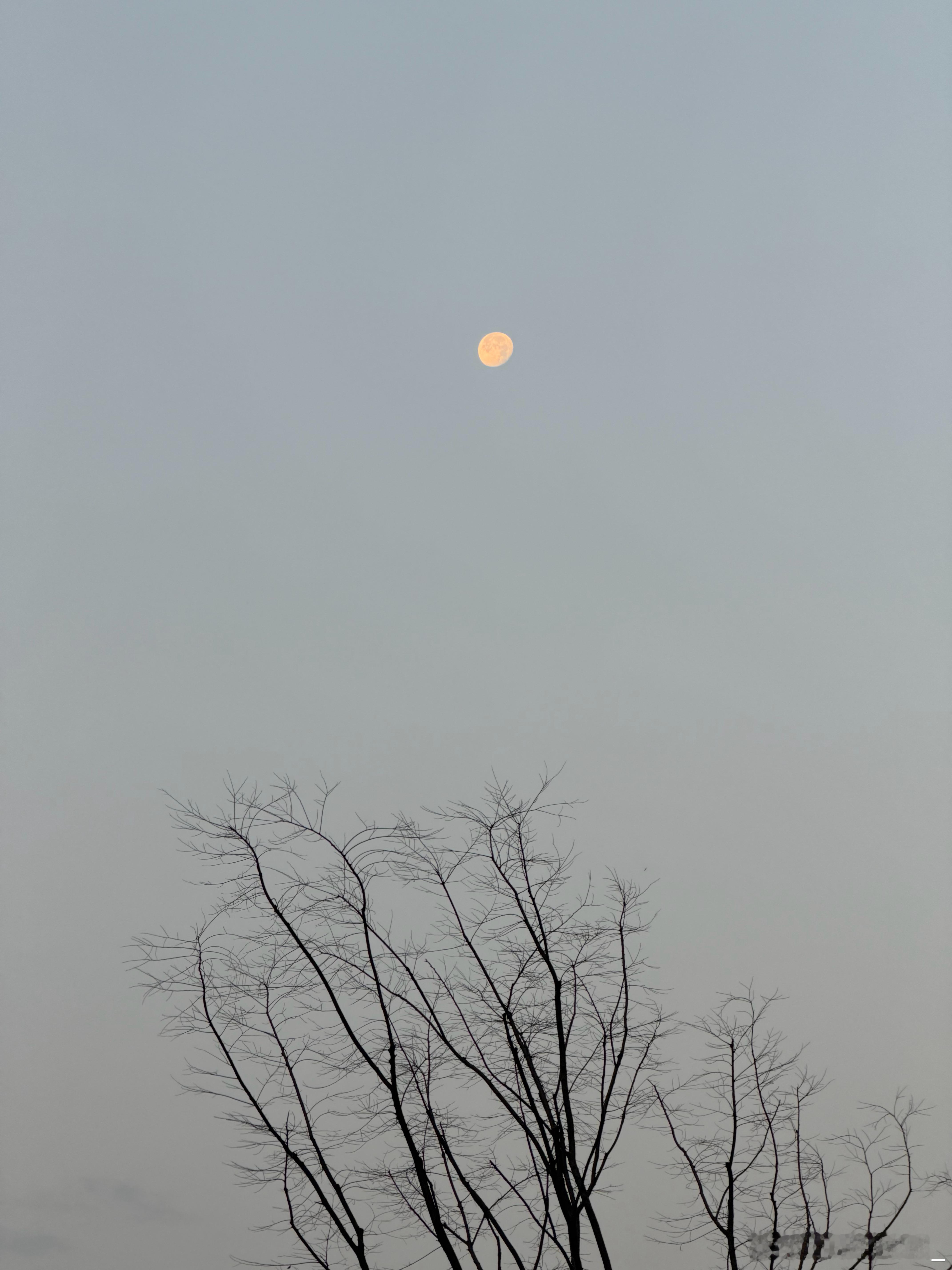 擦，今天没带徕卡版出来！大家早安