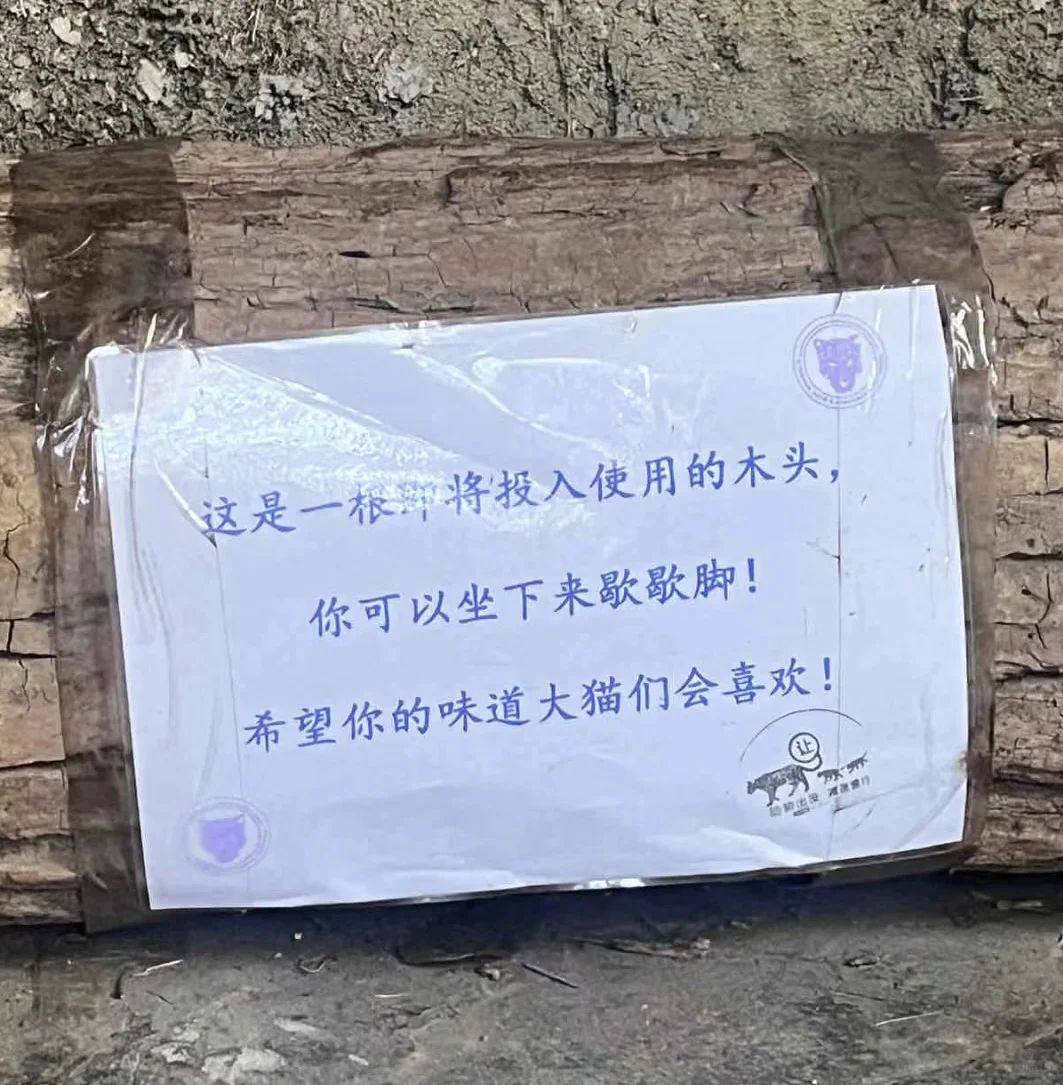 去红山动物园，有没有发现这些细节？