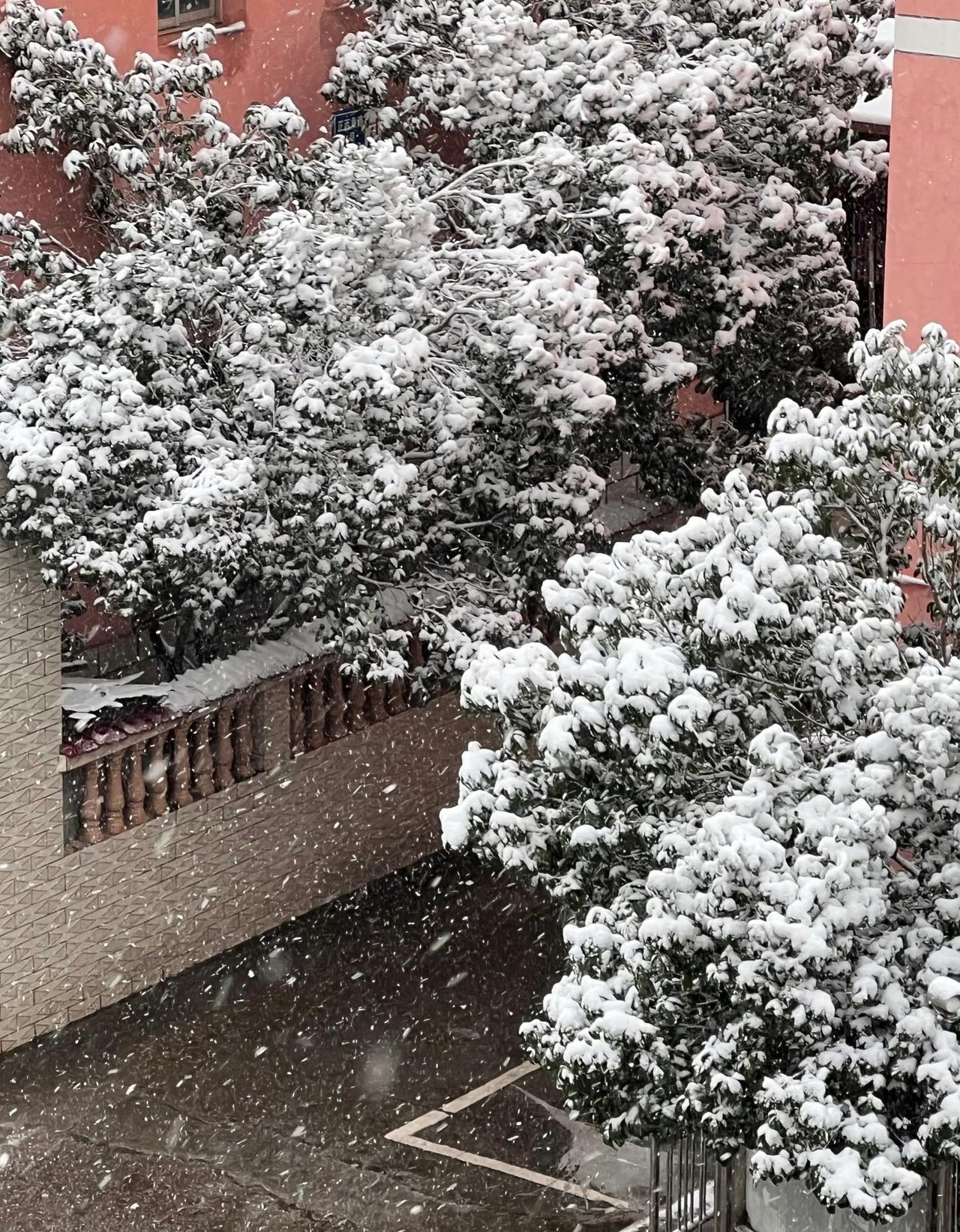 朋友圈被刷屏！一张图让南方人笑出眼泪，北方人秒懂的痛
 
🔥 全网热传的“冬日
