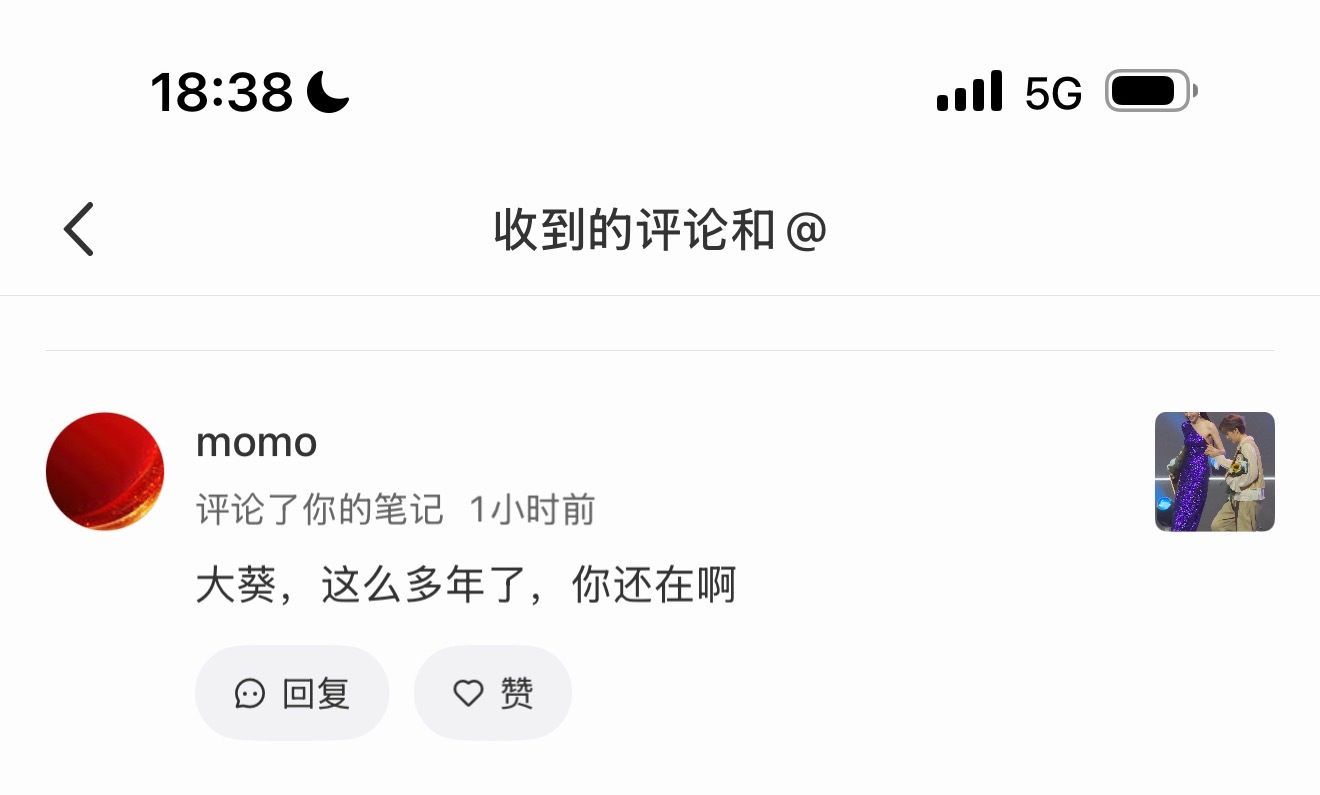 我能去哪