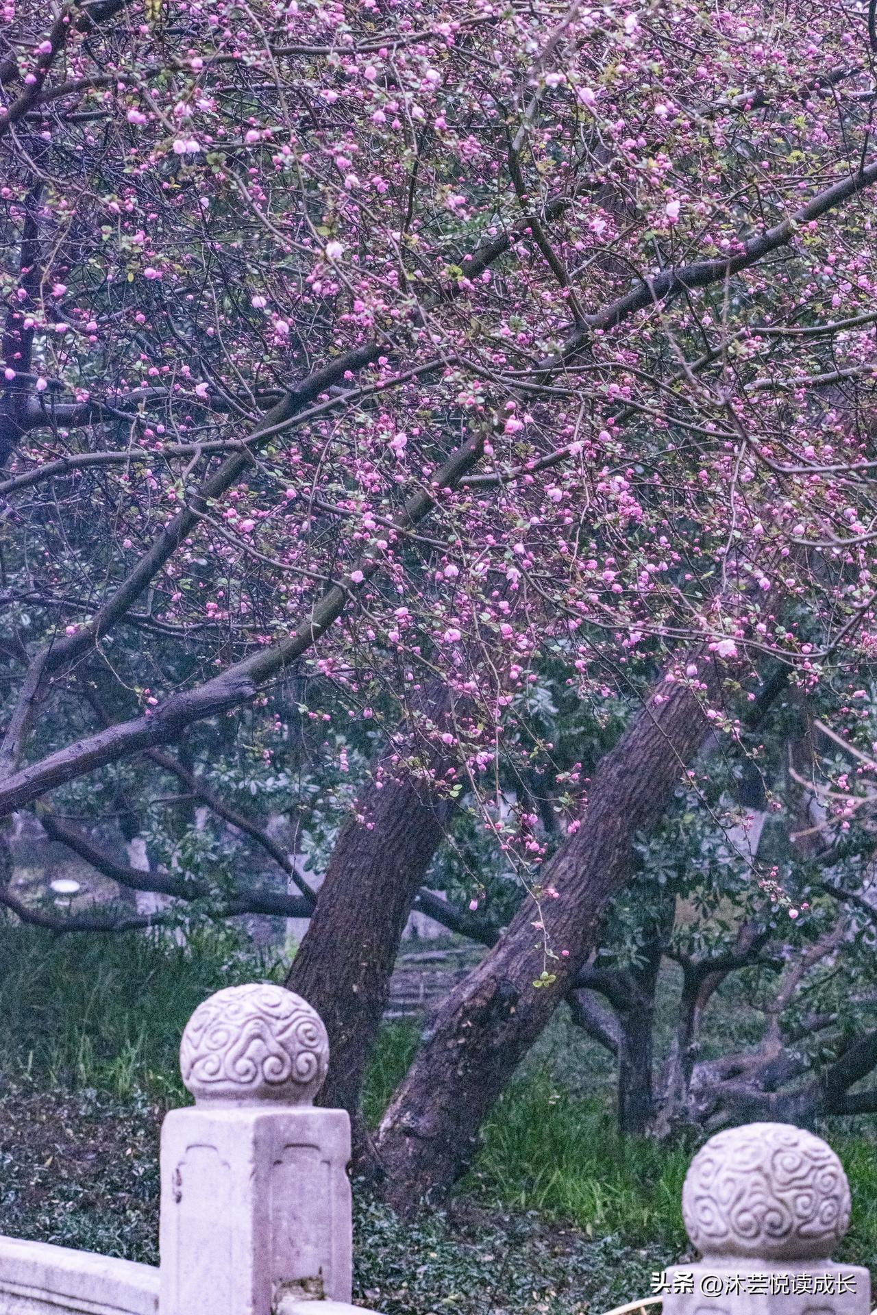 你会在退休后再去找份工作吗?
56岁退休后不再找工作，被骂“自私”？50+的人生