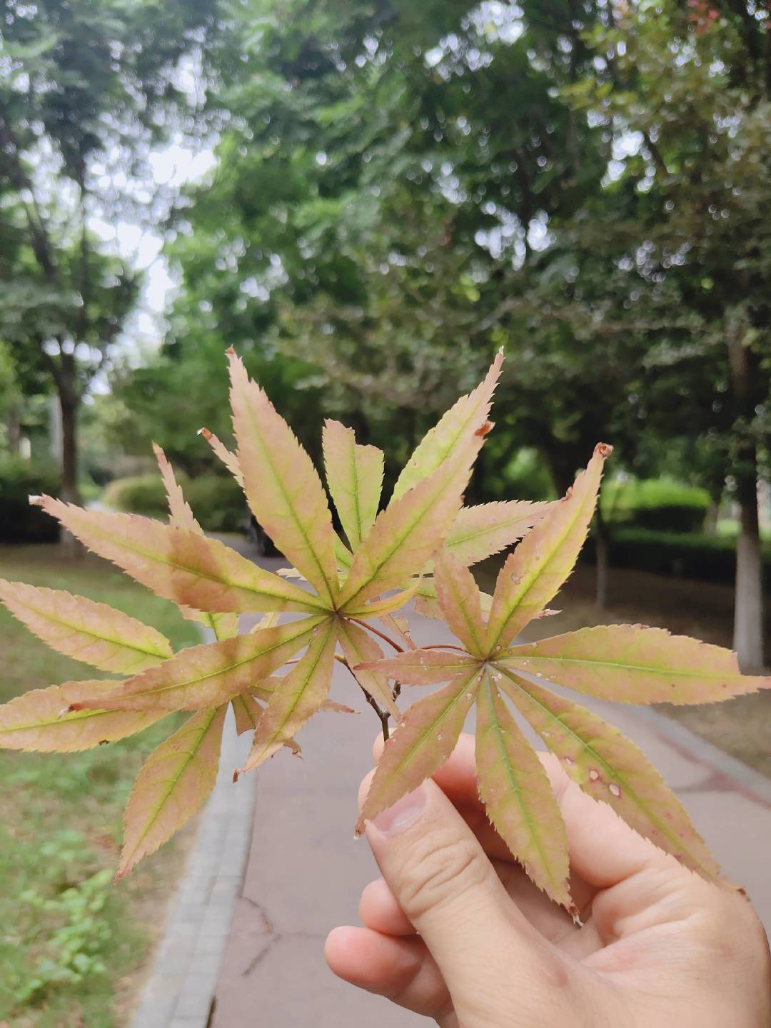 人总会在失去之后恍然大悟，明白曾经拥有多么珍贵。可命运很少给予重来的机会，懂得珍