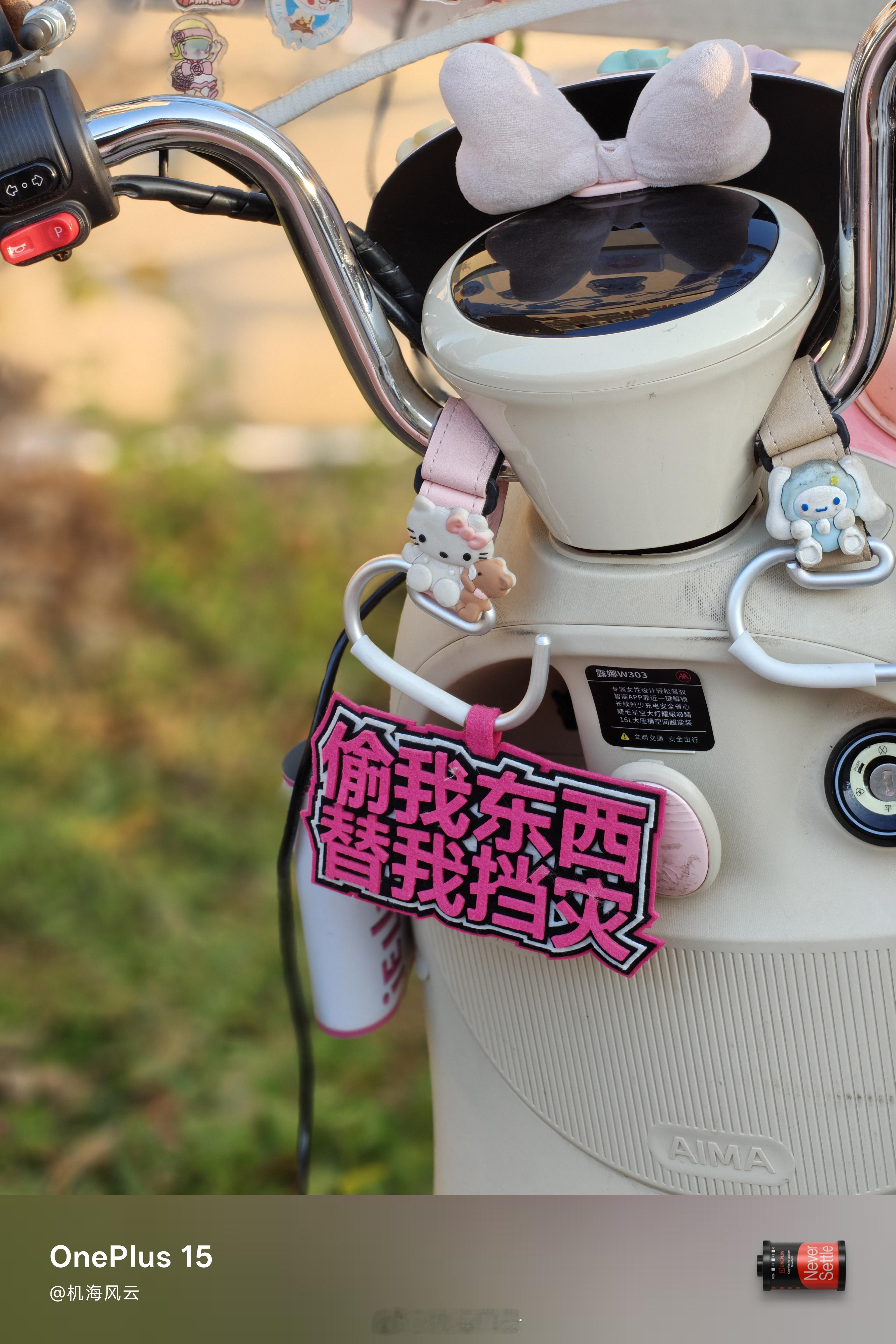 笑死，这玄学标语，一套一套的，看装饰，像个妹纸的电动车