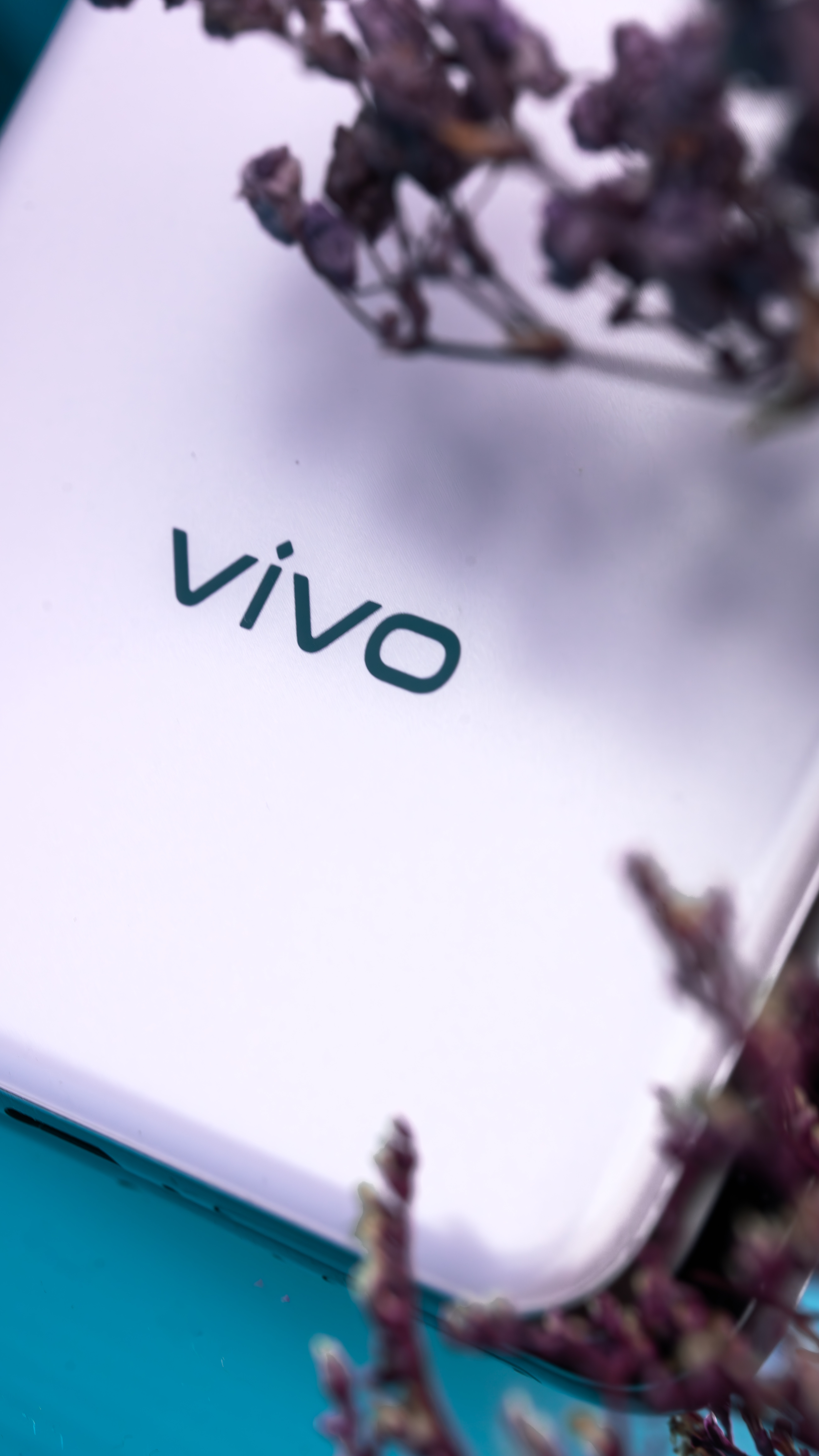 拿到vivo Y300 Pro+啦，这个粉色真的好漂亮了，这屏幕还是微四曲的，感
