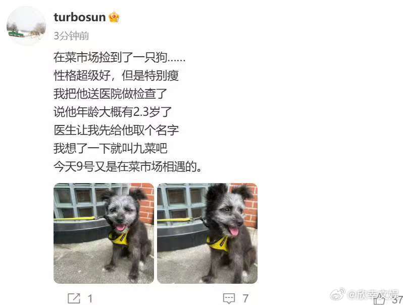 孙俪菜市场捡狗孙俪捡狗取名九菜孙俪菜市场捡狗，好好啊，[偷笑][偷笑] ​​​