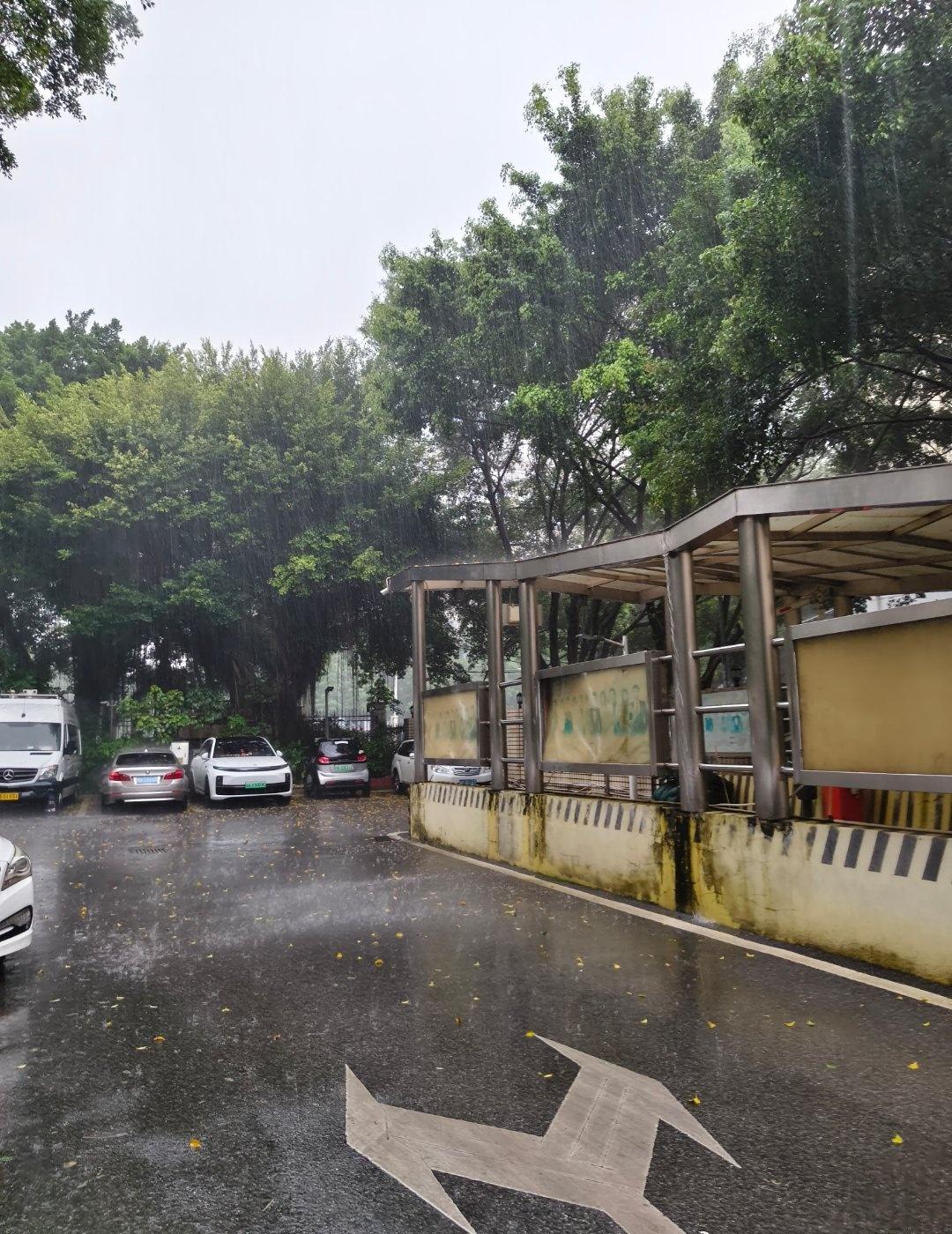 5月29日下午，南宁下了好大的雨，伴着雷鸣狂风，在单位院子了就能看到这雨真大啊。