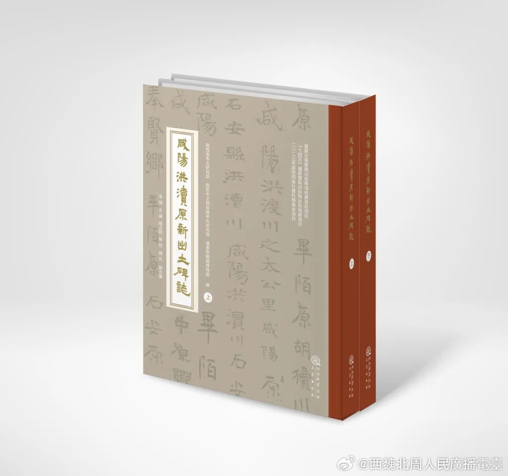 仇鹿鸣｜重聚洪渎原宝藏网页链接《咸阳洪渎原新出土碑志》收录1953年至2022年