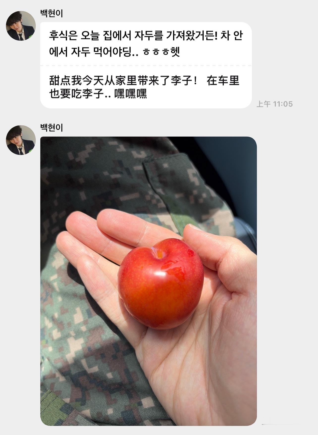 我狗狗颇有一番小学生春游的氛围 想象一下自己买好水果然后在家洗干净带到车里的样子