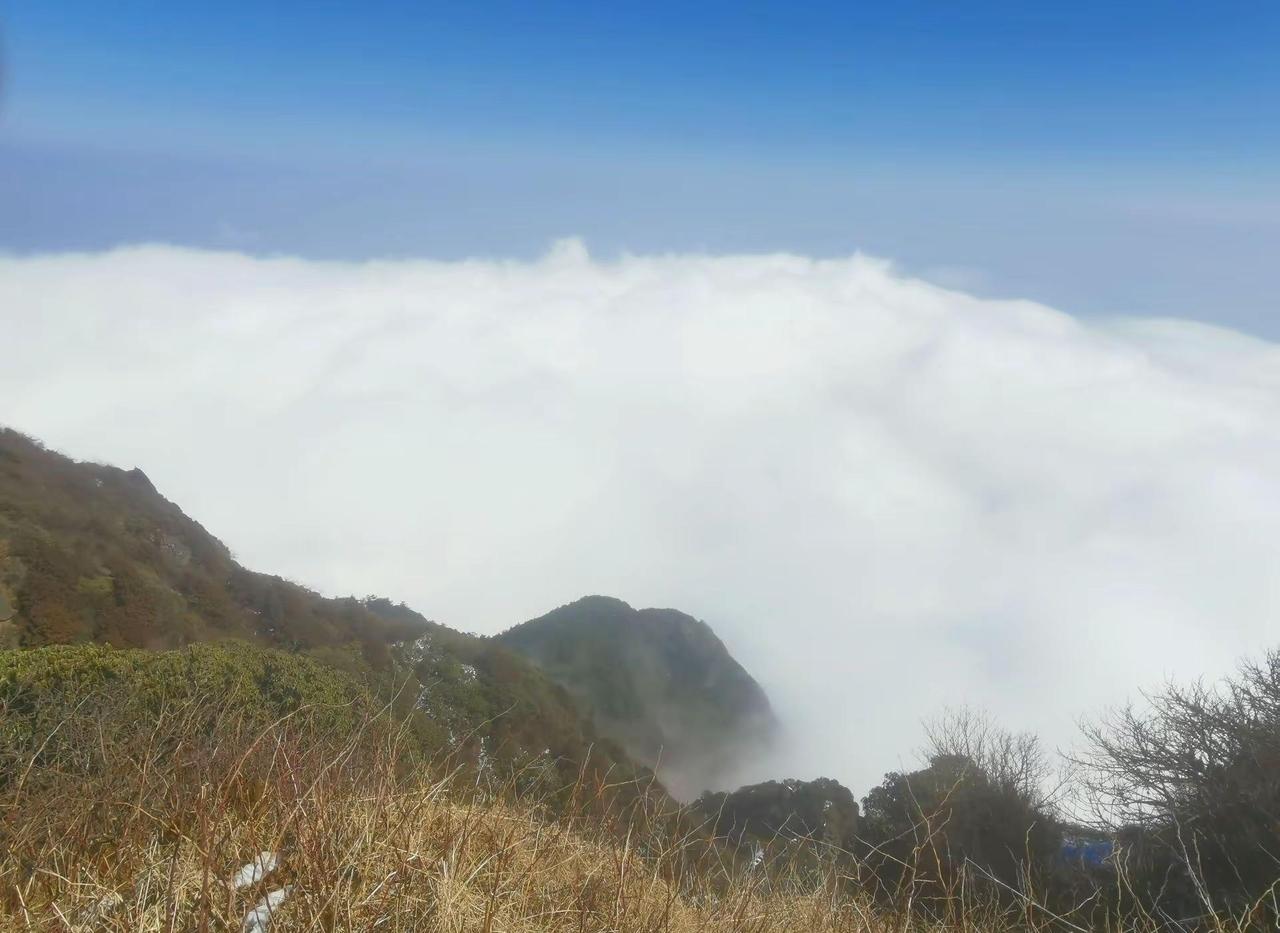 七零，八零，到底得罪谁了，活的不如狗！🤒🤒🤒🤒🤒🤒