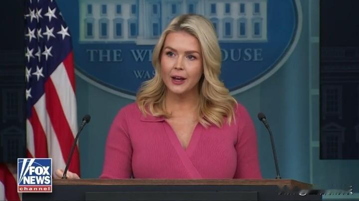 白宫新闻秘书莱维特称昨天700名联邦特工撤离是因为明尼苏达州几乎每一个县现在都同