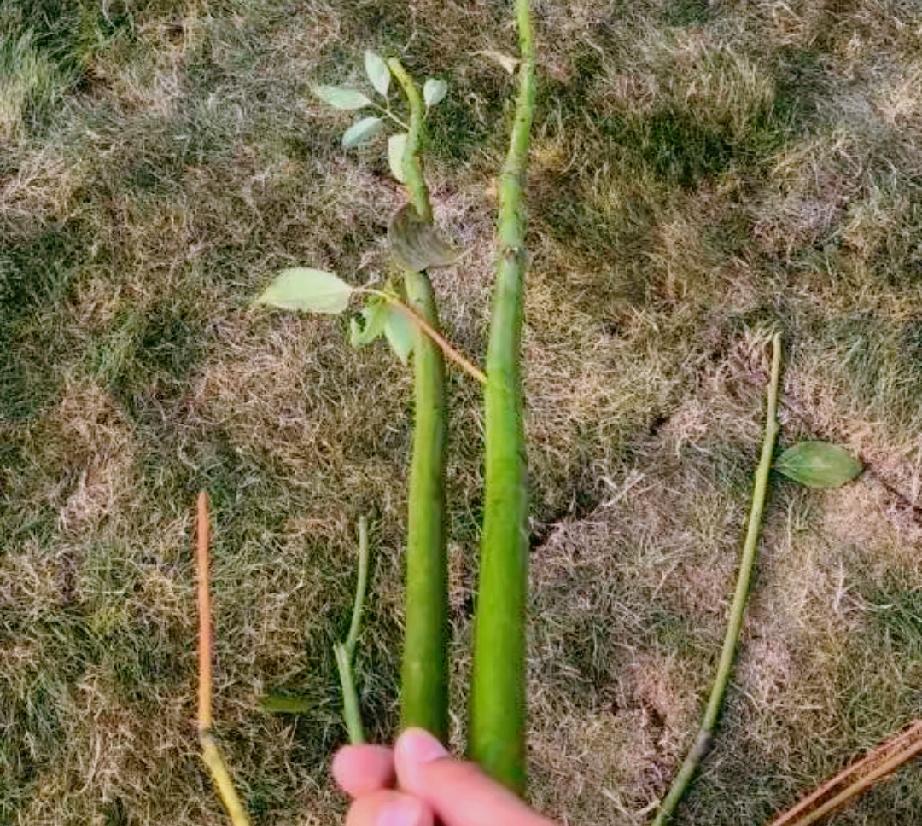 ：）男人到老都是少年。男人的一生，六大快乐源泉，色是排名第一！第一为色，第二为吃