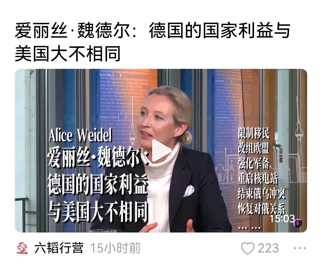 这种伪政治家，在哪国都有，还都很猖狂！“德国利益与美国大不相同”，这不废话呢吗，