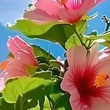 告别昨日，告别浮躁，告别懒惰！真正能够拯救你的，只有自己！飞不起来，那就全力奔跑