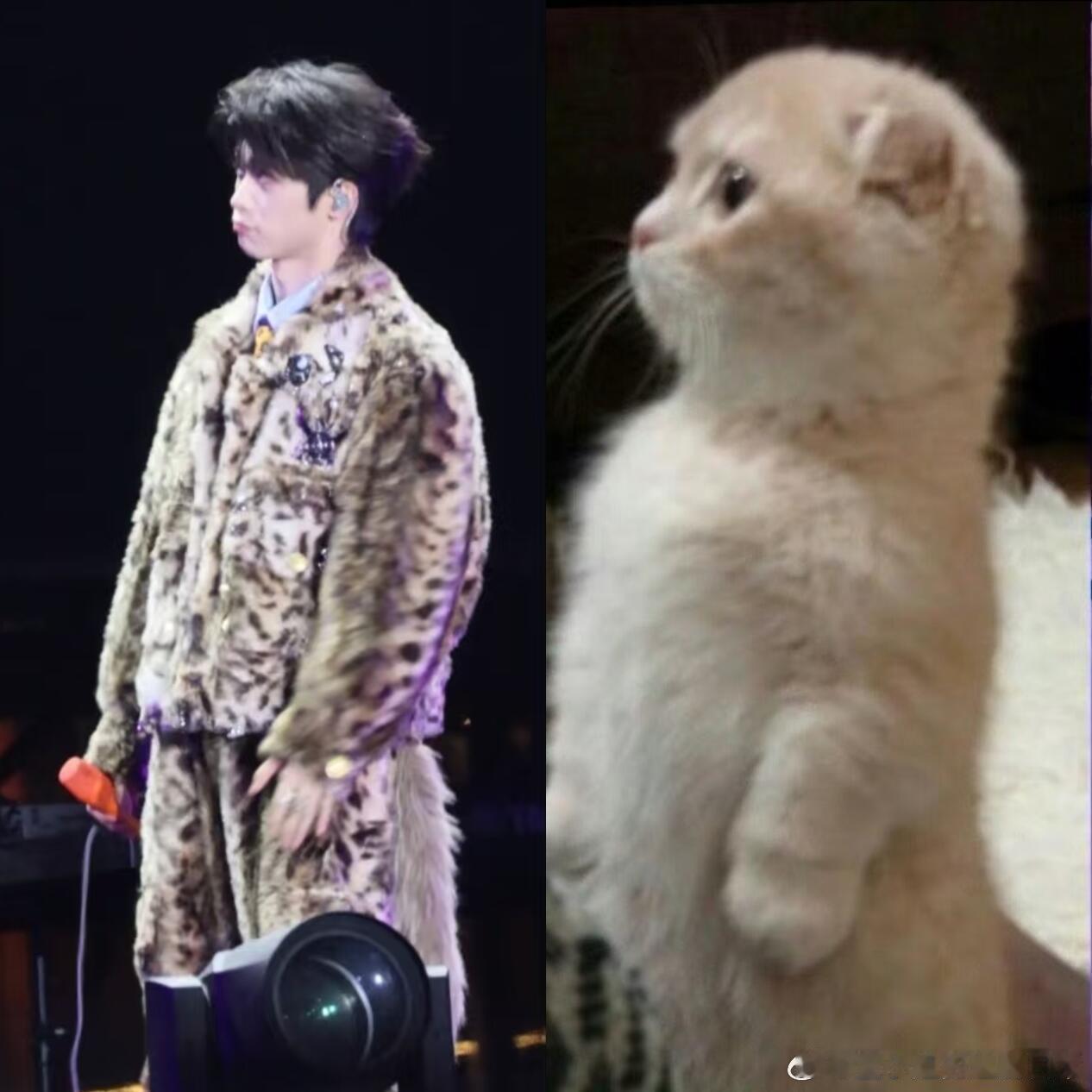 来来来，对着这个照片找不同不能说一模一样吧，只能说毫无差别这个小梓渝怎么这么萌啊