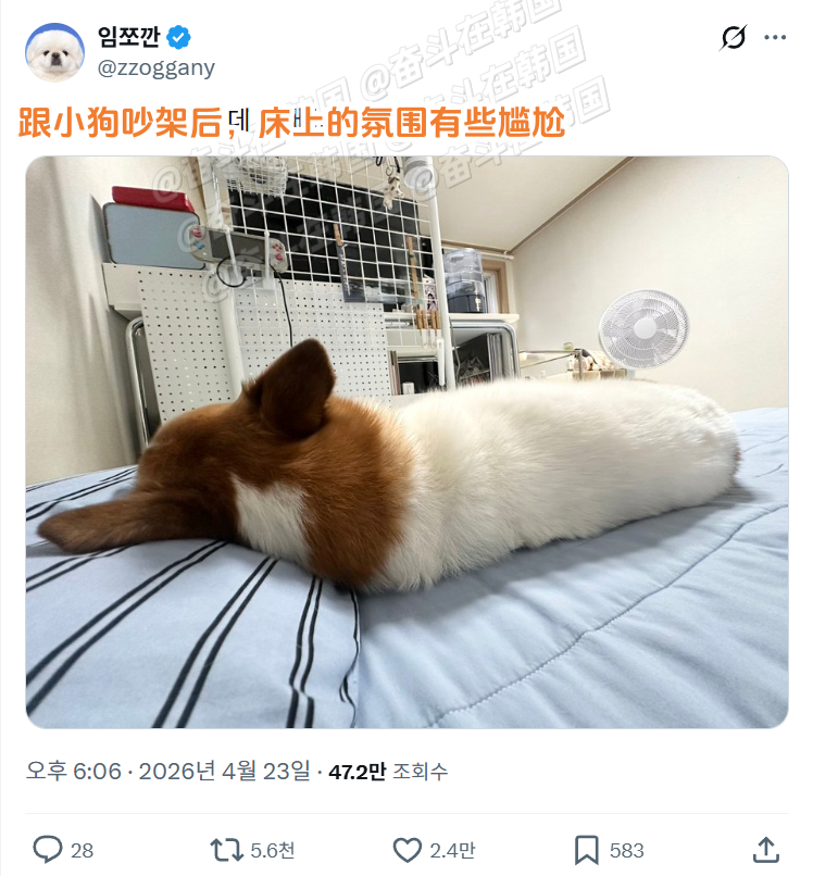 跟小狗吵架后，床上的氛围有些尴尬 海外新鲜事 热点现场