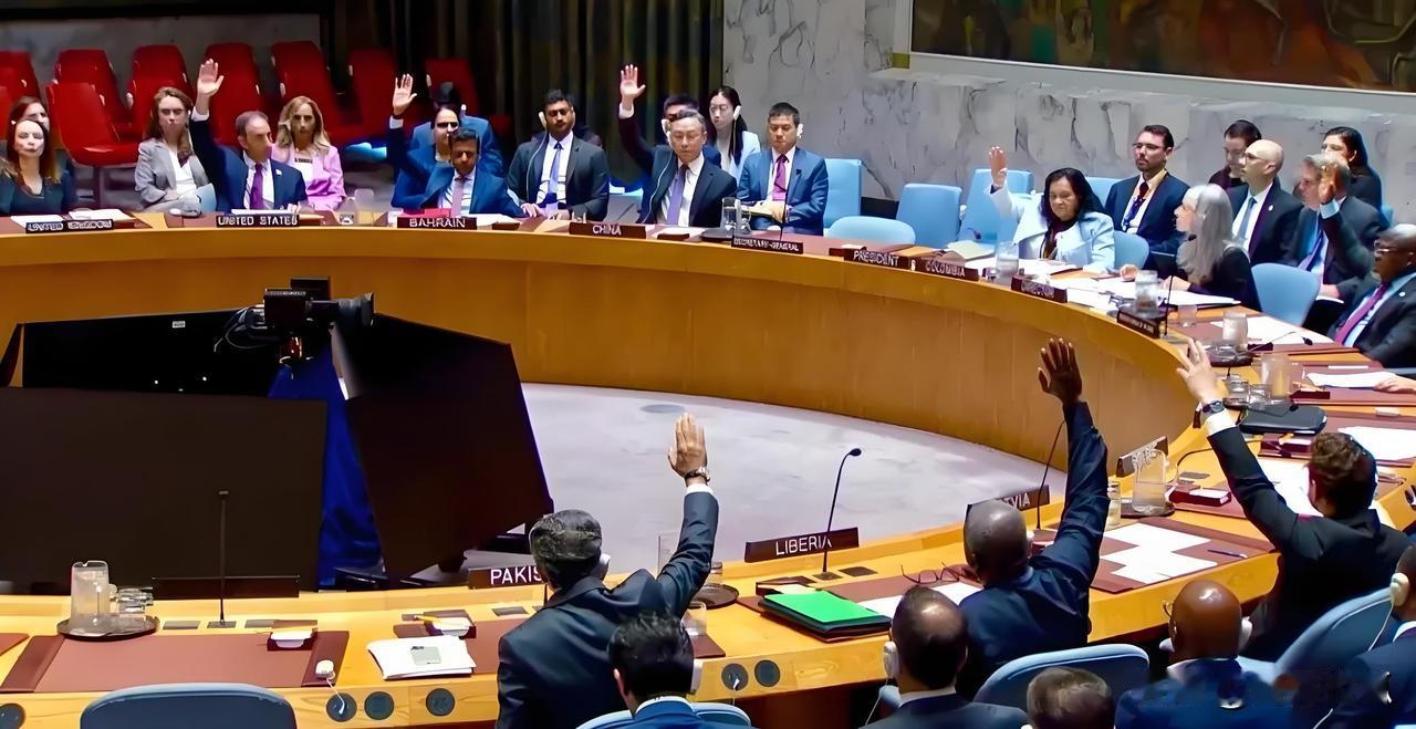 15:0！安理会这次全票通过的决议，中国投下赞成票，"追到天涯海角"这话不是白说