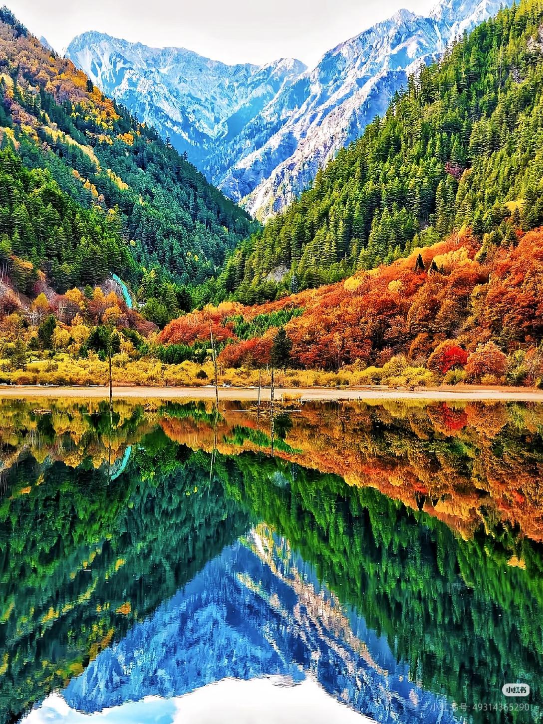 九寨沟，惊艳世界的色彩仙境✨
🌈漫步天堂，领略大自然的绝美画卷：登上九寨沟的山