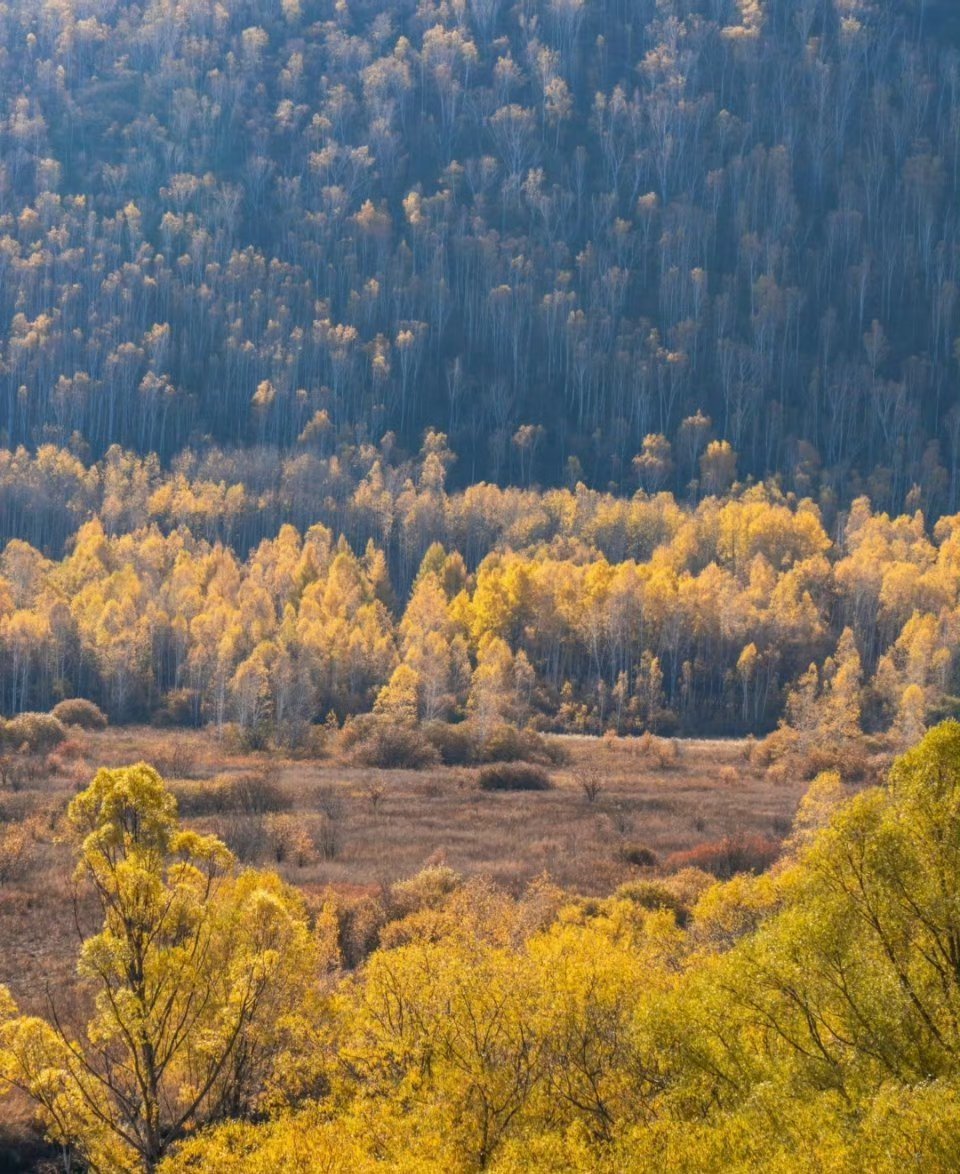 好好拍照的一年年度摄影定格时刻：阿尔山，光影绘就的梦幻诗篇翻开这一年的摄影相册，