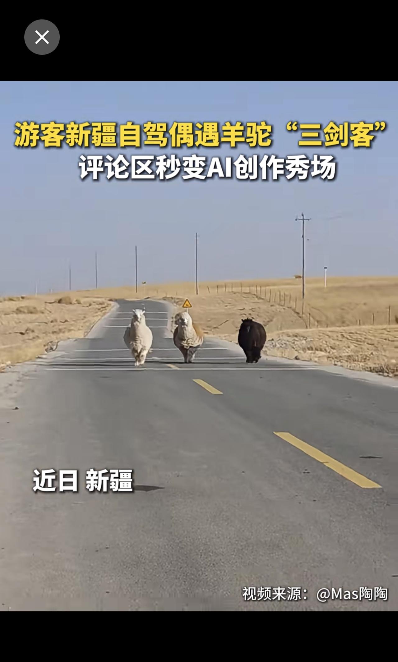 AI创作有那味儿了！快亮出你给羊驼“三剑客”制作的大片！（记者：余佩璇）