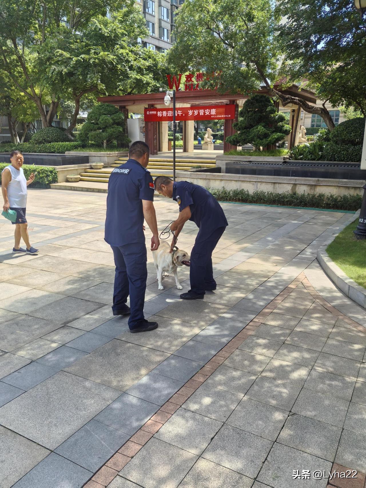 昨天（周末）派出所安保人员在我们小区，对无人管理和未牵绳的狗进行抓捕清理，并对违