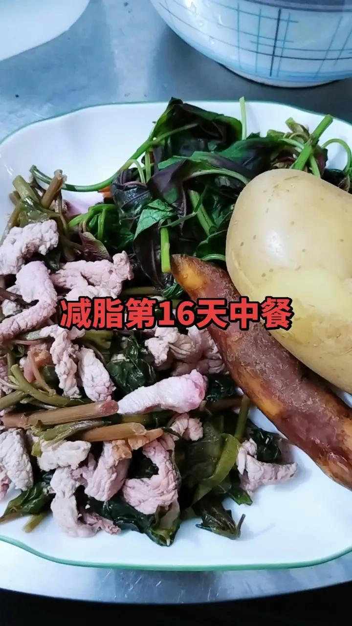 减脂已过半月，可能要一直保持这样的饮食习惯才行。