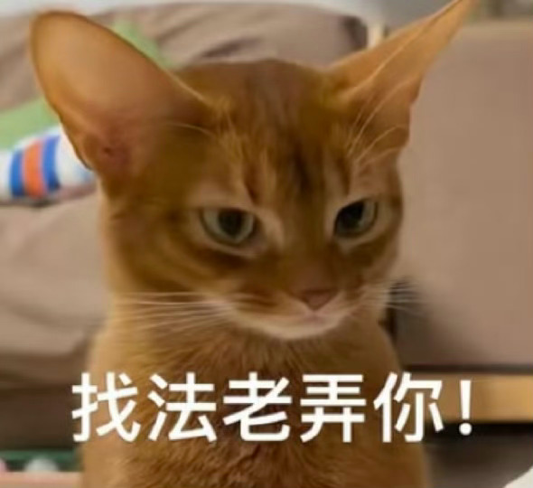 德儿 法老是谁自己认领 