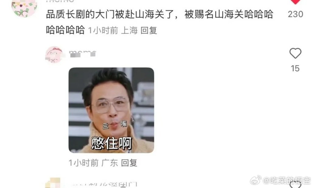 现在《赴山海》被网友调侃为“山海关”，因为很多人觉得，《藏海传》把长剧品质大门打