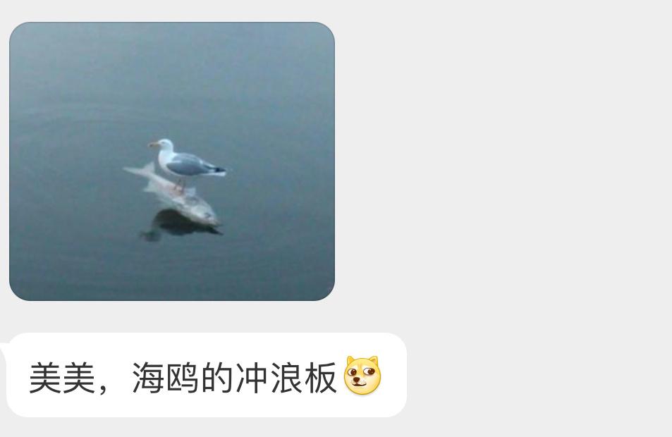 ？？？ ​​​