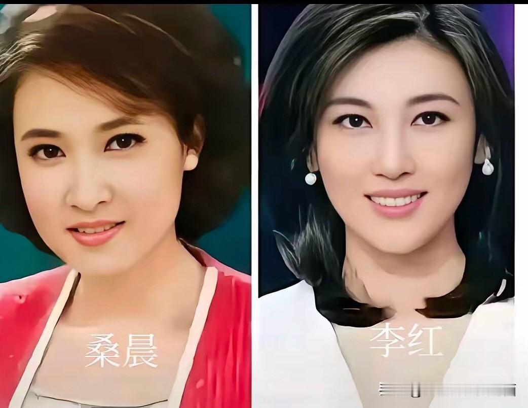 两位都是央视一等一的美女，要在两位中选一个最好看的，你觉得会是谁呢？ 

桑晨是