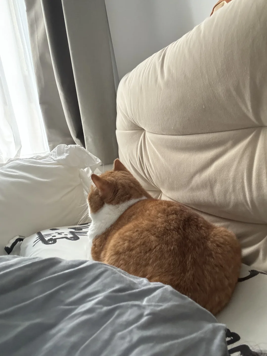 他说他会守着我