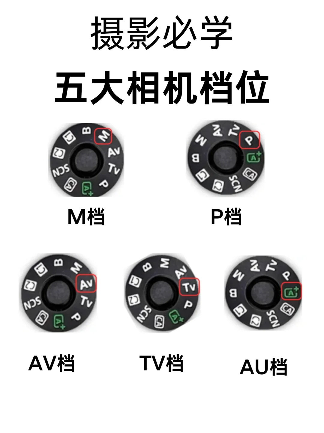 看完这些你的摄影就牛了