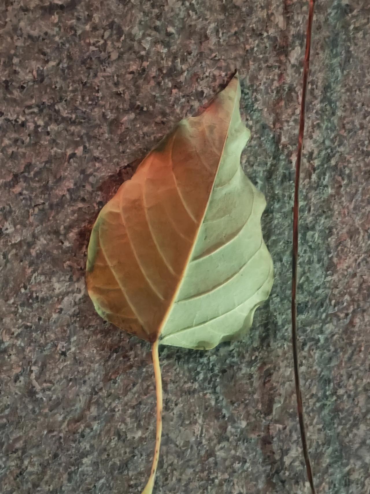 职高为啥现在在社会上口碑那么差？就是因为没有底线的接收各种学生，只要学生来，就不