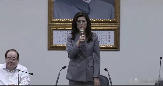 中国“国民党主席”郑丽文正式宣布，
7月17日，针对台北市长蒋万安号召民众上街头