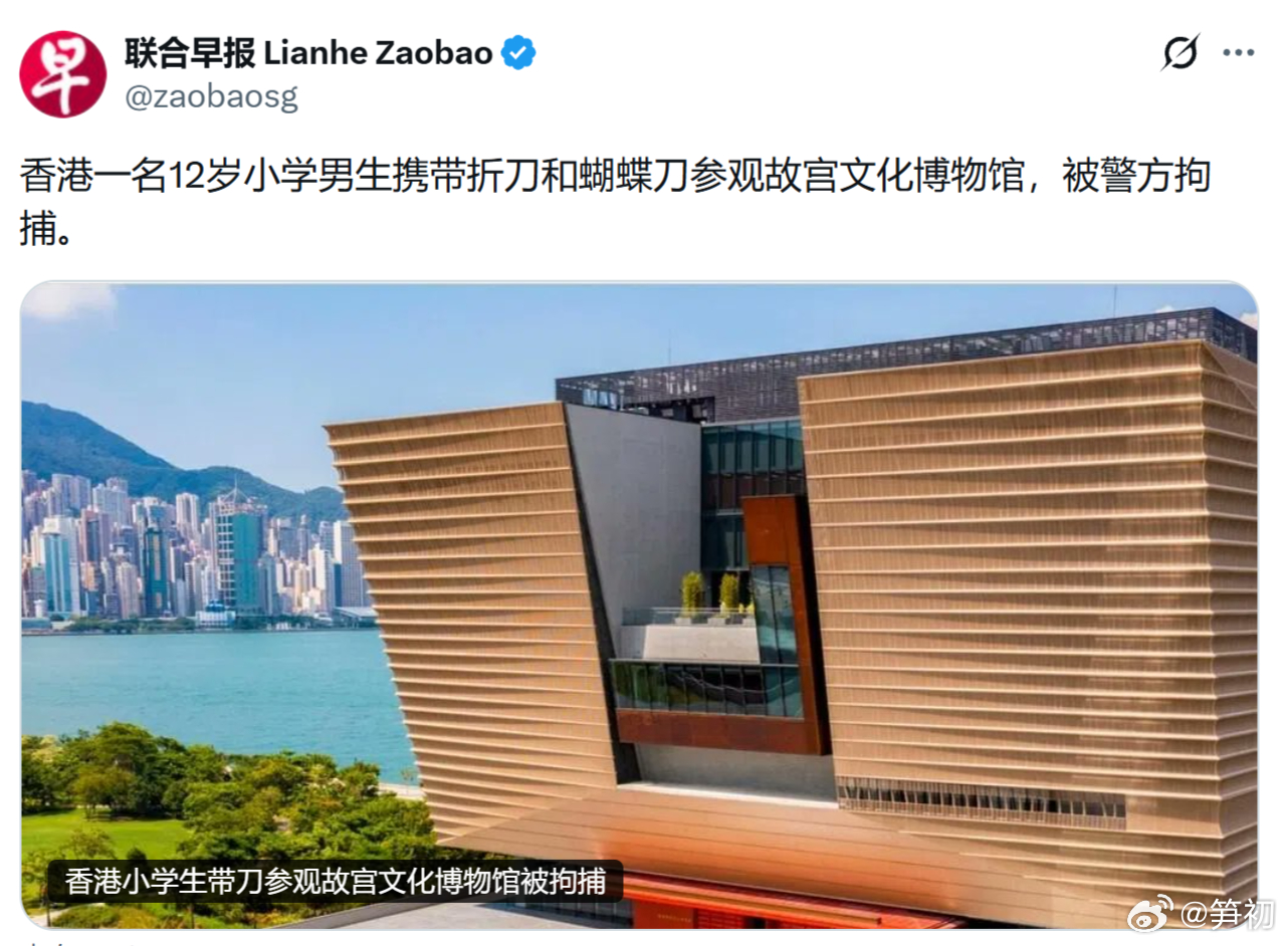 《联合早报》：香港一名12岁小学男生携带折刀和蝴蝶刀参观故宫文化博物馆，被警方拘