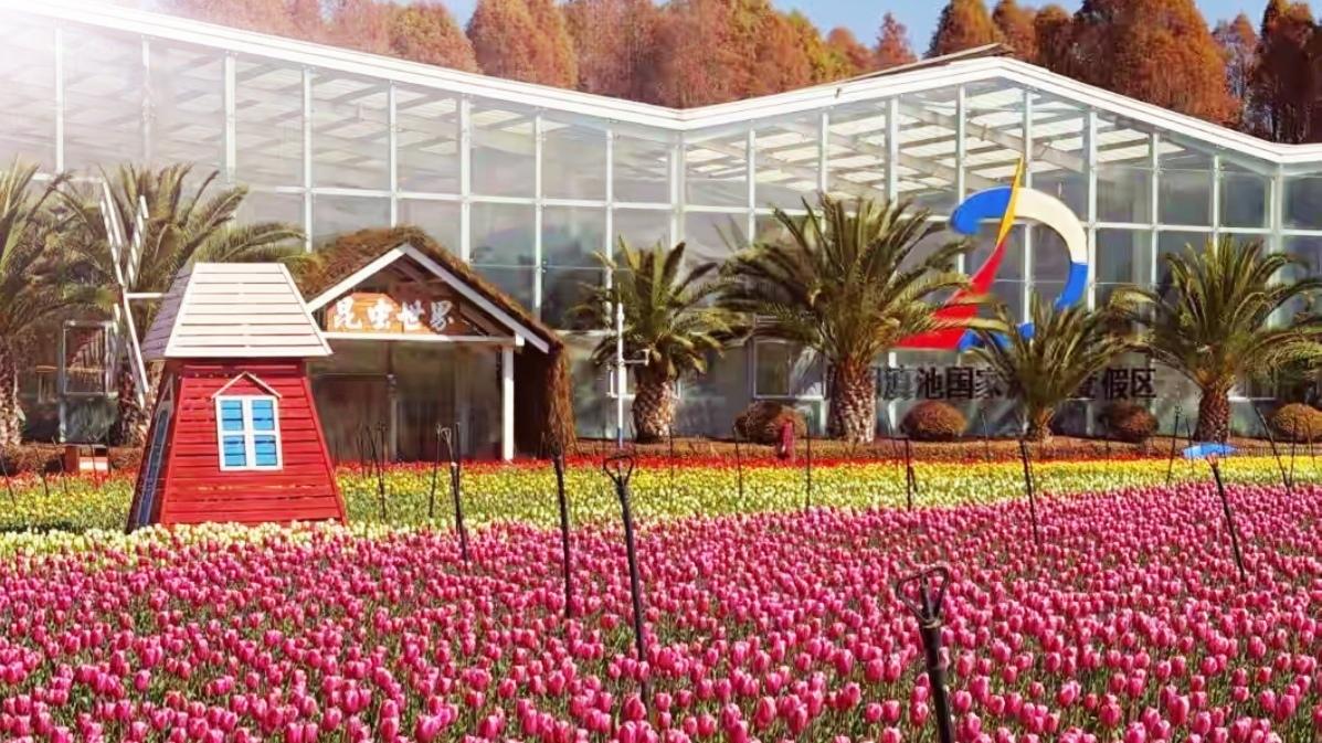 🔥滇池边7个神仙打卡点，马年春游首选！滇池边7个宝藏打卡点出炉！海埂大坝喂红嘴