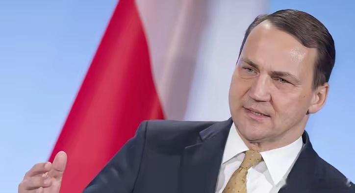 2月13日，在德国慕尼黑安全会议上，波兰副总理兼外长西科尔斯基直言不讳，彻底撕破