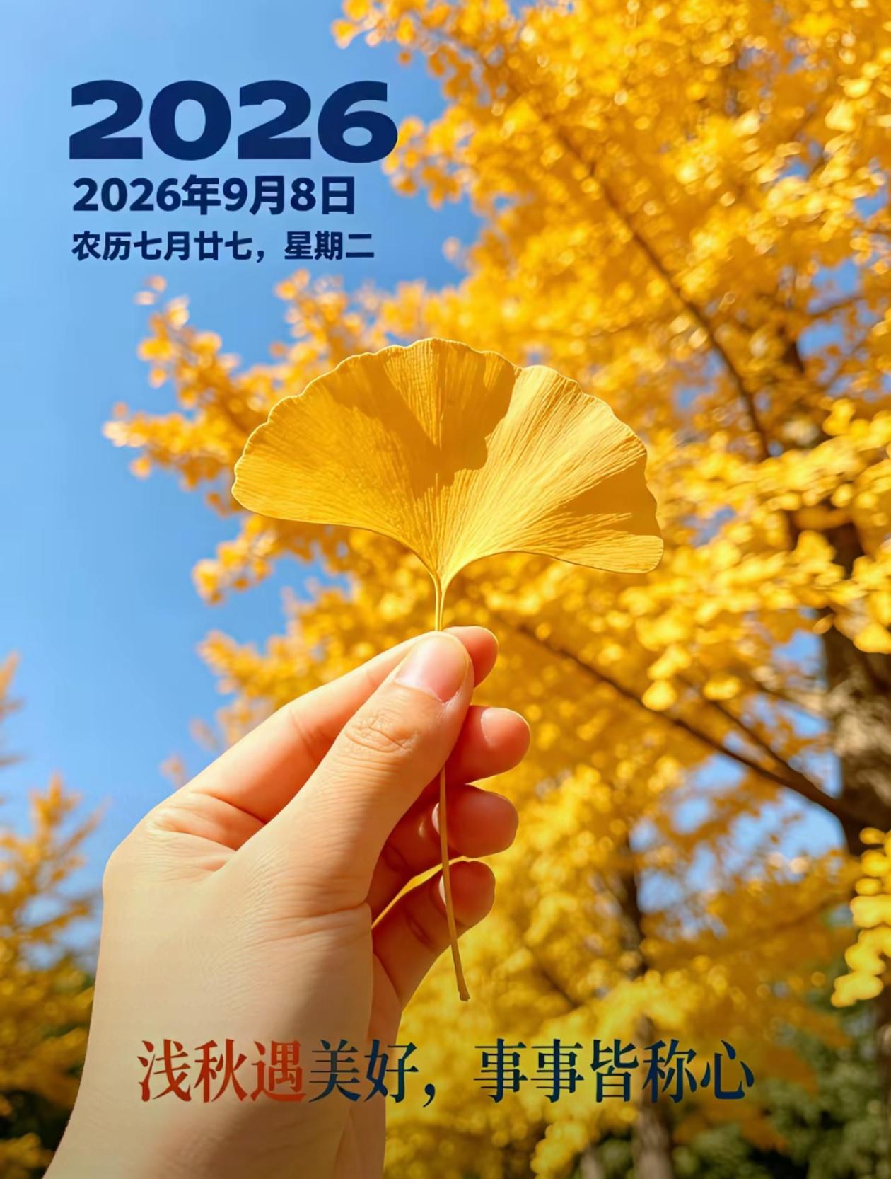 [福] ²⁰²⁶/₀908，清风载温情寄远，秋承吉运福临门[福]

[微风][太