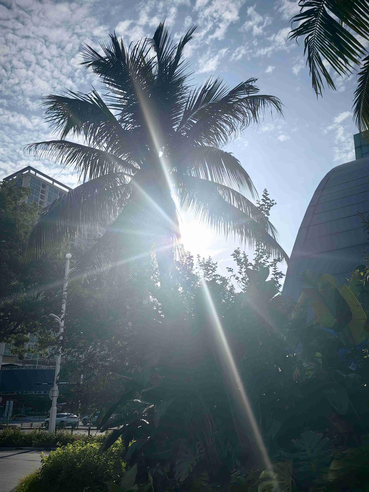 天气预报今天中雨，早上起床艳阳高照，趁着还没有下雨，赶紧出门散步去！

带定位晒