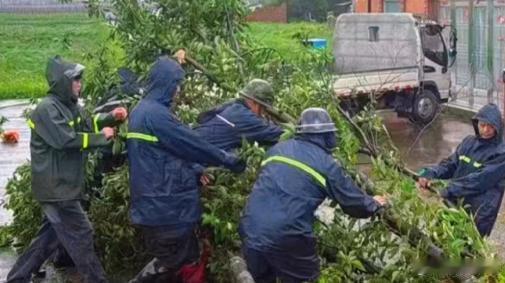 【台风过后台州安置点最暖人心 从深夜抢修到清晨热粥，守护是风雨里最稳的承诺】台风