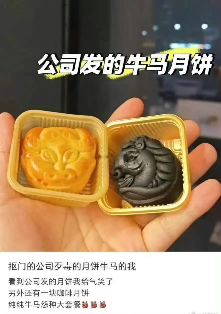 牛马月饼？？？砂仁猪心馅的~~~海阔试车超话 ​​​
