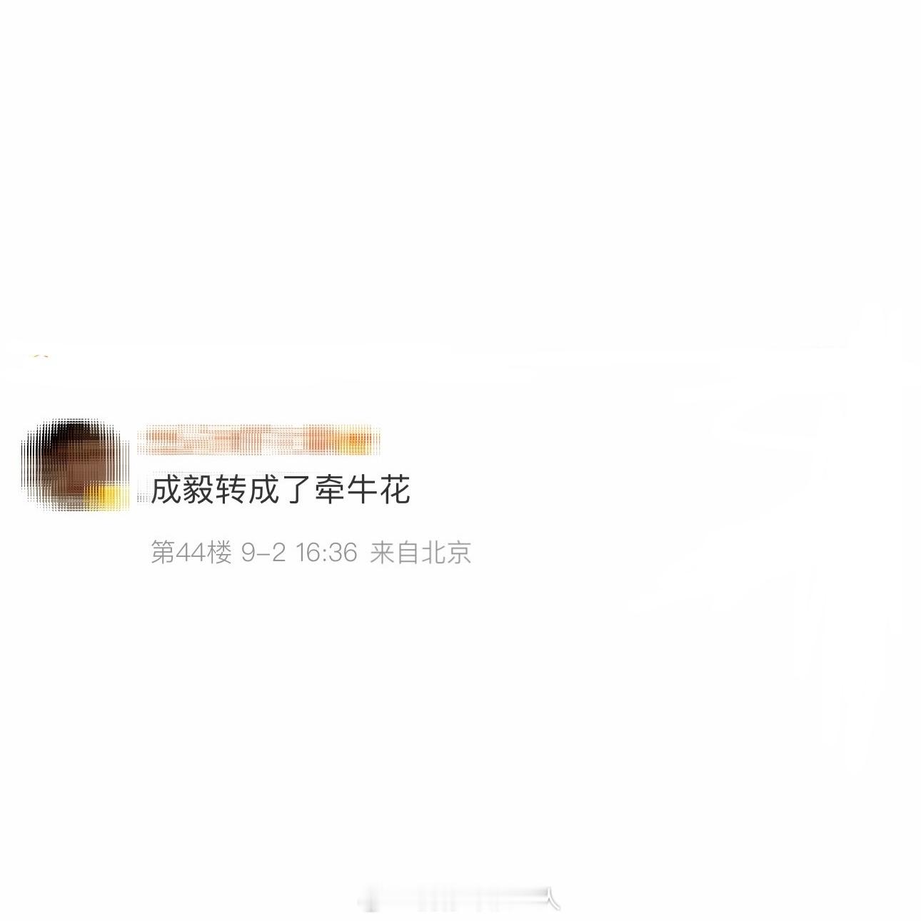成毅转成了牵牛花！成毅打戏转圈这段观赏性好高！丝滑旋转干脆利落，衣袖纷飞的瞬间直