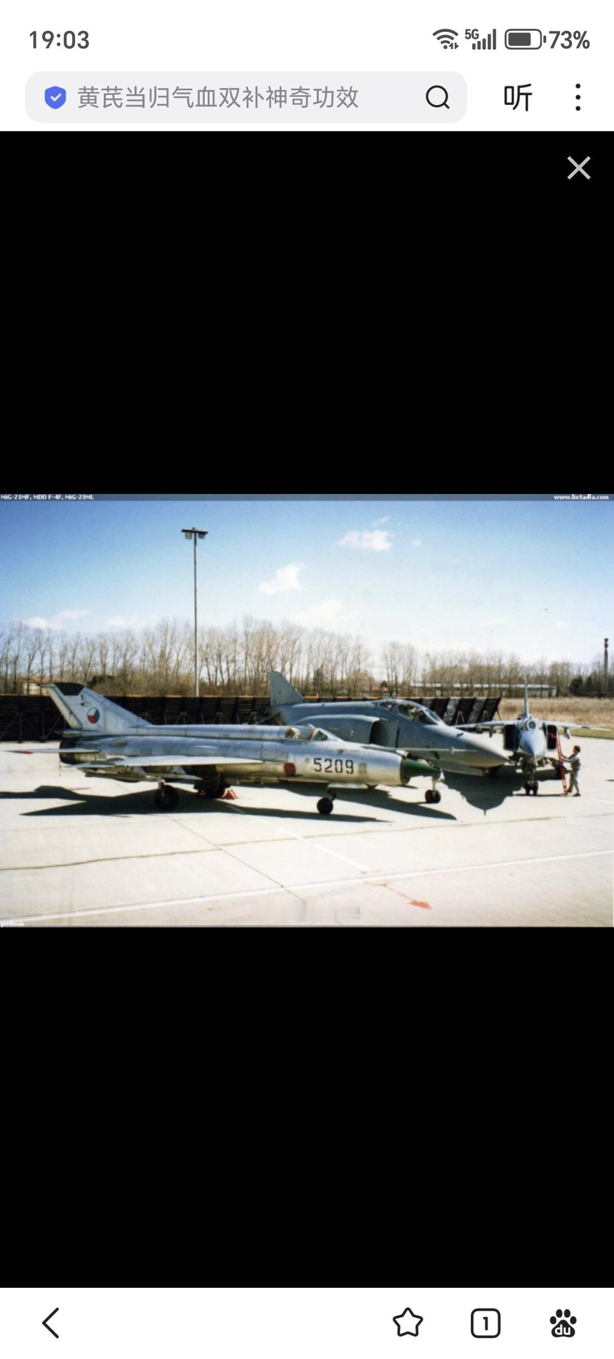 捷克空军第四空军基地的米格-21MF和米格-23ML战斗机，以及德国空军第74战